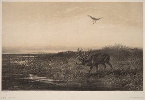 The Evening. Deer and Herons by Karl Bodmer
