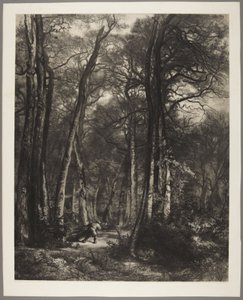 Man in Woods by Karl Bodmer