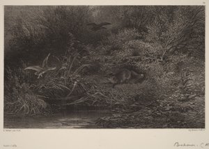 Fox on the Lookout by Karl Bodmer
