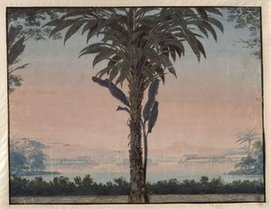 Athalia. Opera by Johann Nepomuk von Poissl. Design for the 4th Decoration. Garden of the High Priest with Large Palm in Front of a Water Surface by Karl Friedrich Schinkel