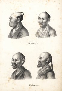 Busts of Japanese men with chonmage topknot hairstyle, and Chinese men with beards, one with pigtail (Lithograph by Karl Joseph Brodtmann from Heinrich Rudolf Schinz