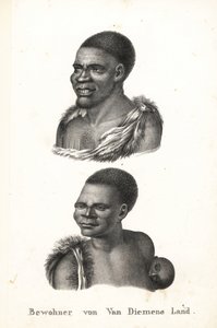Natives of Tasmania, Van Diemen