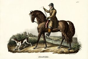 Spanish Hunter Horse by Karl Joseph Brodtmann