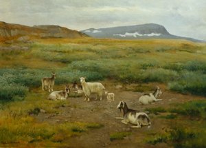 Goats at grass by Karl K. Uchermann