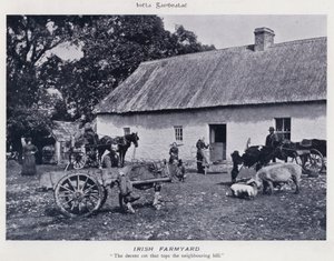 Irish Farmyard
