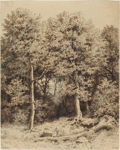 A Copse of Trees by Karl Theodor Reiffenstein