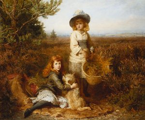 Among the Ferns