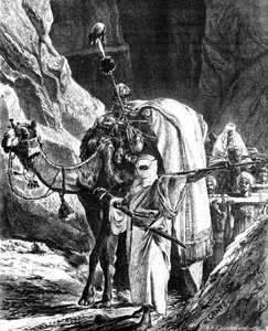 Heads of Rebels, 1881