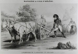 Napoleon (1769-1821) on St. Helena, Engraved by Francois le Villain by Karl after Loeillot Hartwig