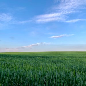 Into The Blue 2020 by Katha Wood