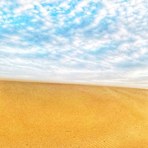 Surreal Desert Beach II by Katha Wood