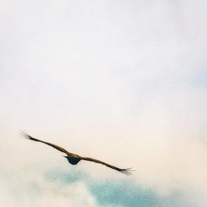 Up In The Clouds by Katha Wood