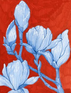Bold Blue Magnolias by Katie O'Shea