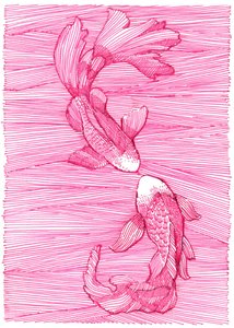 Pink Koi Dance by Katie O'Shea