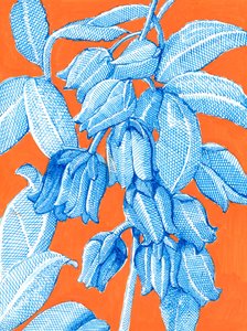 Vibrant Blue Botanicals by Katie O'Shea