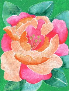 Vibrant Floral Bloom by Katie O'Shea