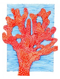 Vibrant Red Coral by Katie O'Shea