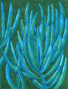 Vibrant Teal Succulents by Katie O'Shea