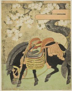 Black Horse Tethered under a Blossoming Cherry Tree