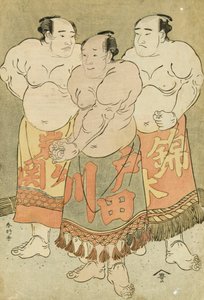 Full length Portraits of the Wrestlers Nishikigi, Todagawa and Iwagaseki presenting themselves in the Ring
