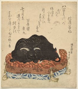 Petting Ox with White Goat