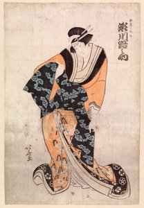 Actor, Segawa Michinosuke, in the part of the Courtesan Omune