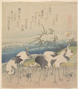 Ashi Clam, from the series "Genroku Kasen Kai-awase" by Katsushika Hokusai