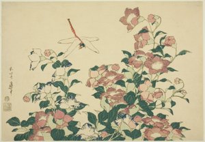 Bell-Flower and Dragonfly, from an Untitled Series of Large Flowers by Katsushika Hokusai