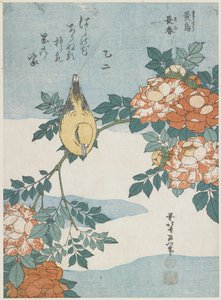 Black-Naped Oriole and China Rose, c. 1833 by Katsushika Hokusai