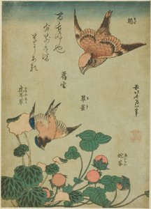 Bull-headed Shrike and Bluebird with Saxifrage and Wild Strawberry (Mozu, ruri, yukinoshita, hebi-ichigo), from an Untitled Series of Flowers and Birds