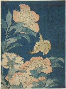 Canary and Peony, from an Untitled Series of Flowers and Birds by Katsushika Hokusai