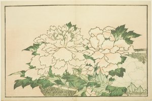 Chrysanthemums in a Basket, from The Picture Book of Realistic Paintings of Hokusai