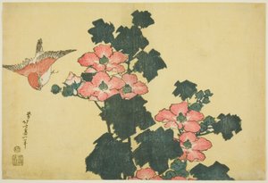 Cotton Roses and Sparrow, from an Untitled Series of Large Flowers by Katsushika Hokusai