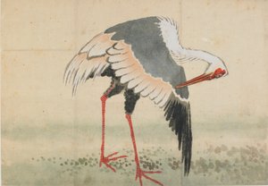 Crane