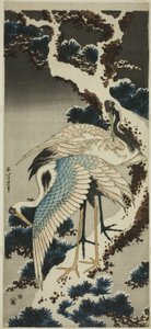 Cranes on Snow-covered Pine