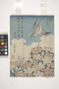 Cuckoo and Azalea