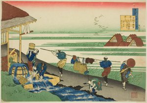Dainagon Tsunenobu from the series One Hundred Poems Explained by the Nurse (Hyakunin isshu uba ga etoki)