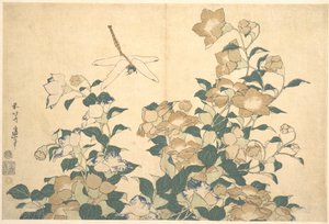 Dragonfly and Bellflower