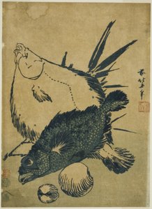 Flatfish, Scorpion Fish, and Shells, from an Untitled Series of Chuban Prints by Katsushika Hokusai
