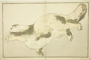 Fox, from The Picture Book of Realistic Paintings of Hokusai