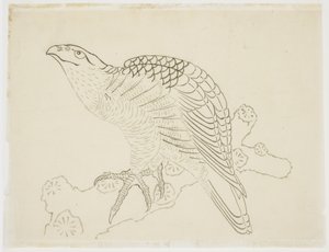 Hawk on a Branch (study) by Katsushika Hokusai