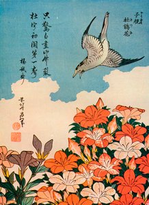 Hototogisu satsuki Cuckoo and Azalea, c1828, 1936