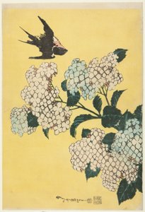 Hydrangea and Swallow, from an untitled series of large flowers by Katsushika Hokusai
