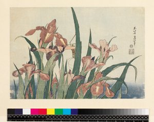 Irises and Grasshopper by Katsushika Hokusai