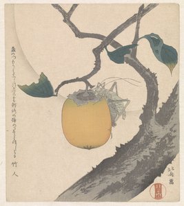 Persimmon with Grasshopper by Katsushika Hokusai