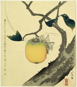 Moon, Persimmon and Grasshopper, 1807 by Katsushika Hokusai