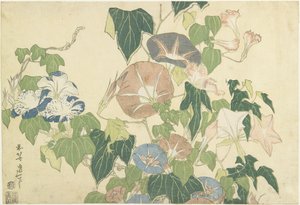 Morning Glories and Tree Frog, from the untitled series known as Large Flowers, c.1833-34 by Katsushika Hokusai