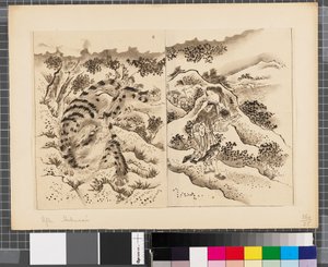 Scenes from the War Between Japan and Korea, End of 18th-First Half of 19th Century by Katsushika Hokusai