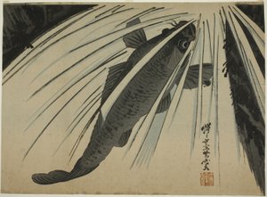 Carp Ascending Falls
