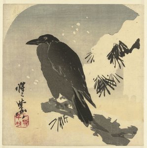 Crow on a Snowy Pine Branch